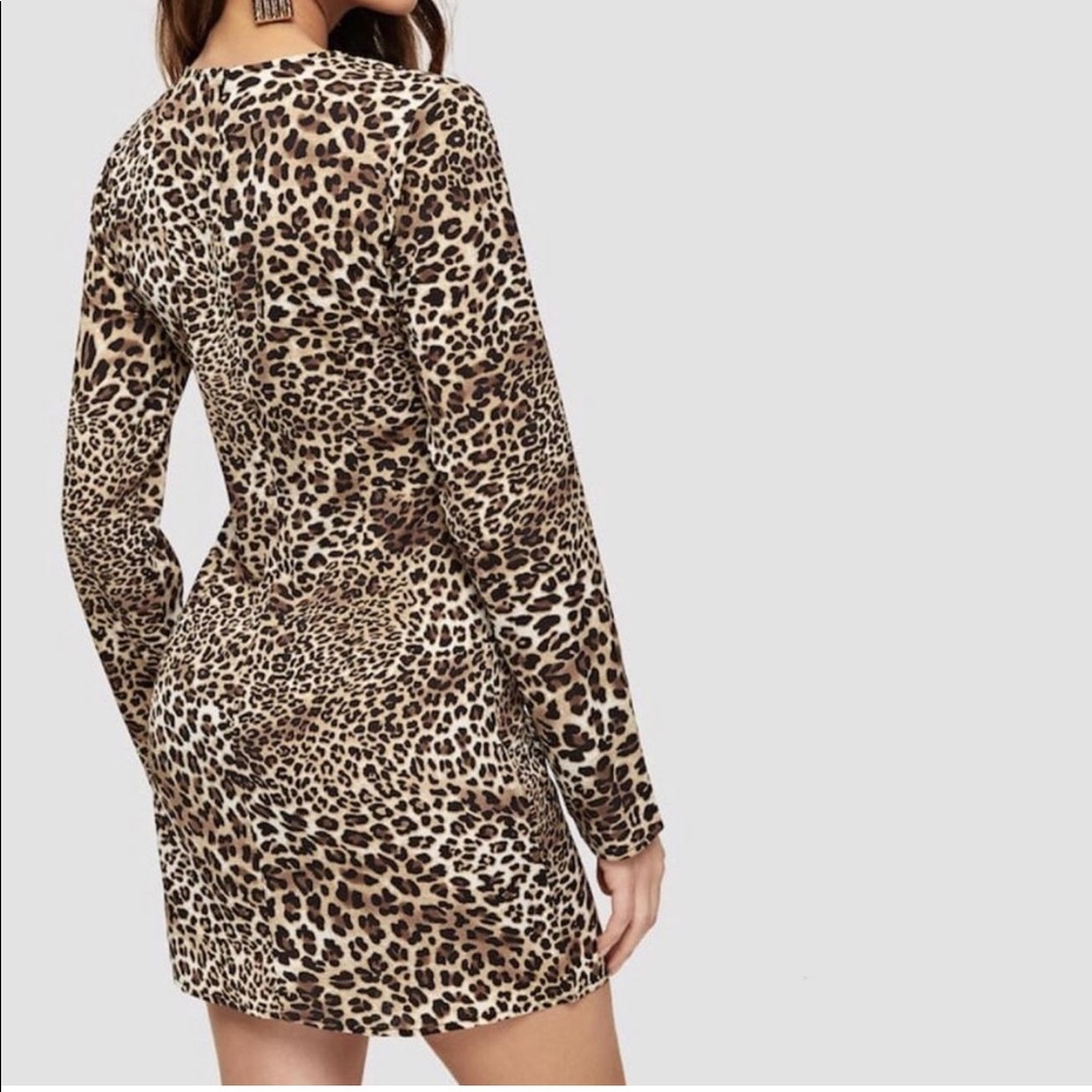 Leopard Print Dress - Picture 2 of 3